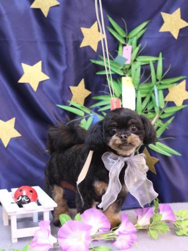 20230714こたろうくん